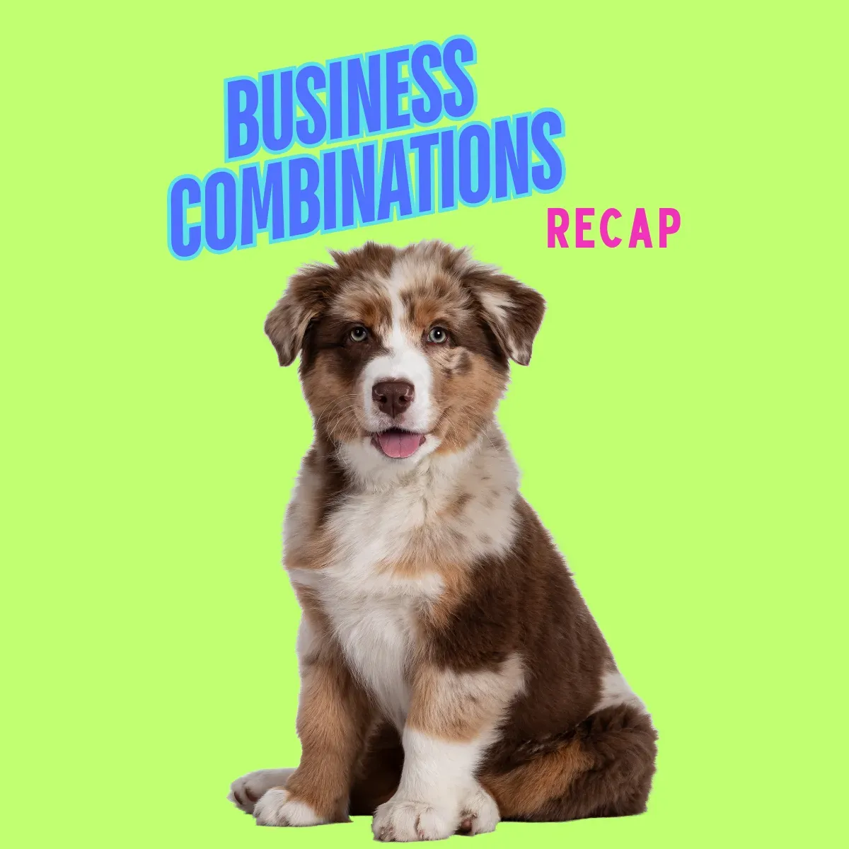Business Combinations: A Simple Summary of Principles.