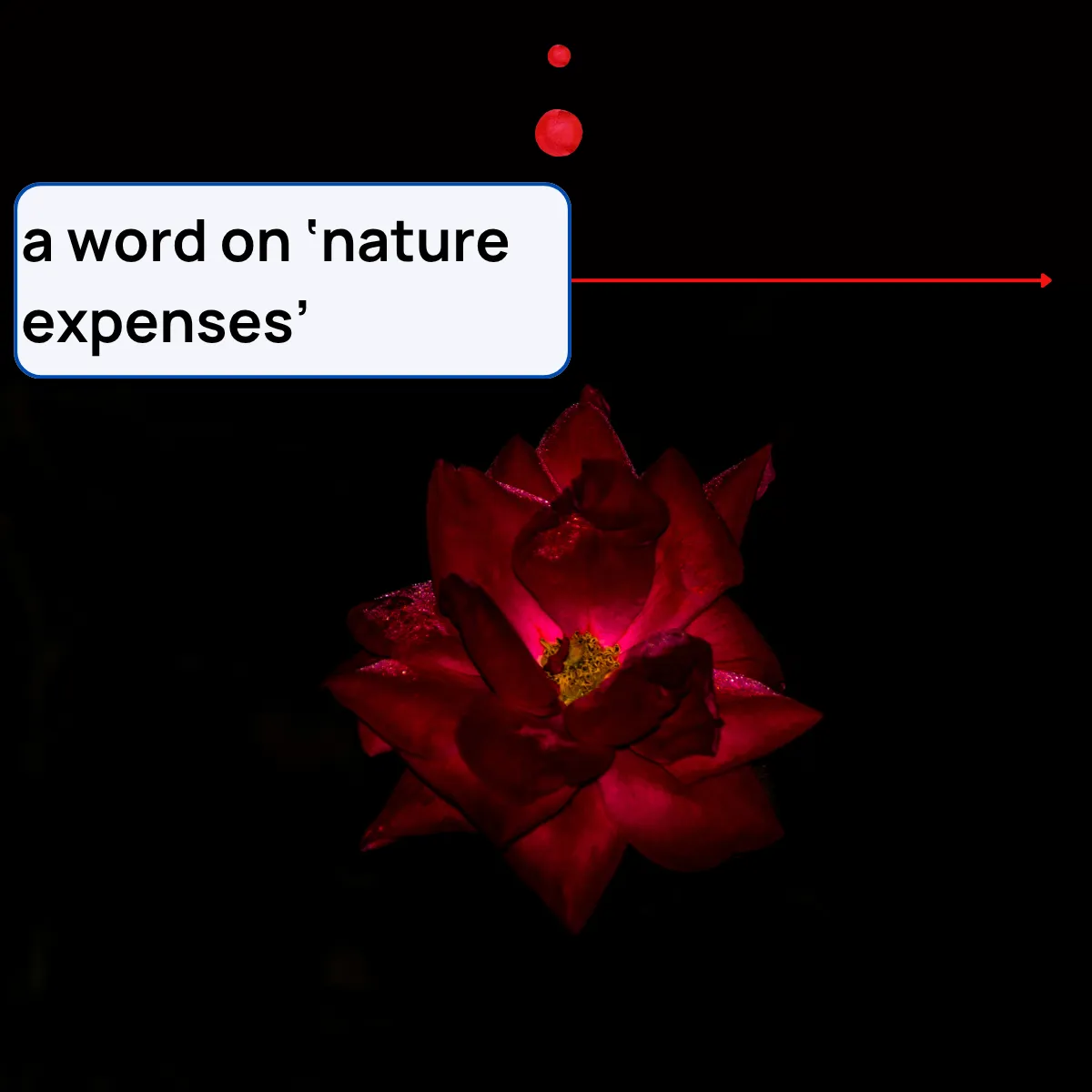 Slide 10