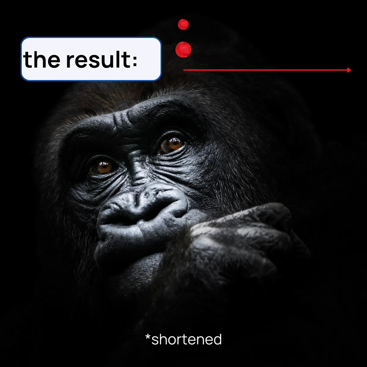 Slide 10