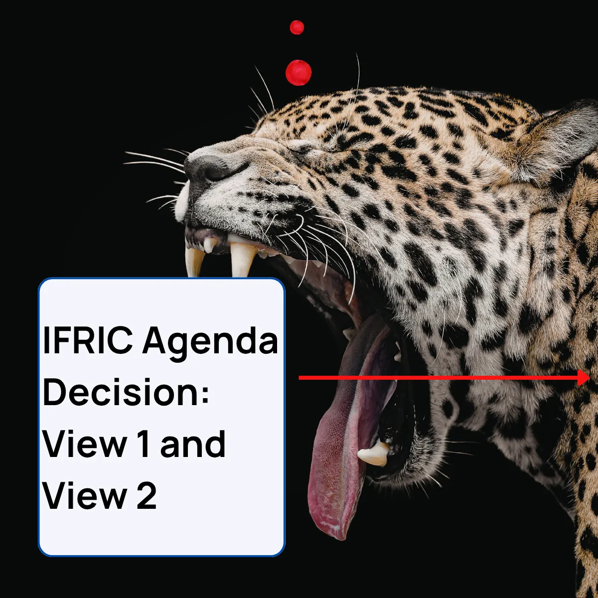 Slide 10