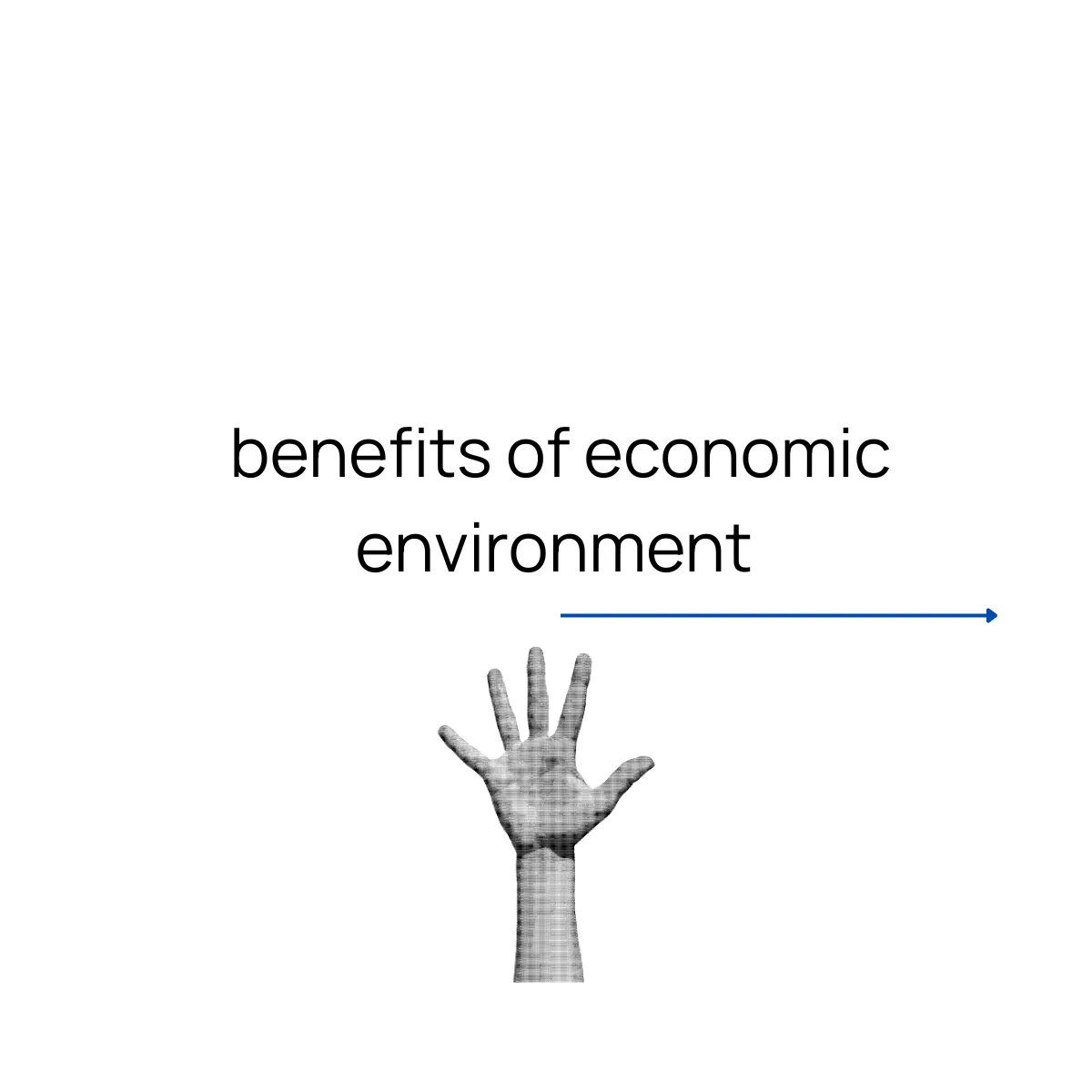 Slide 11