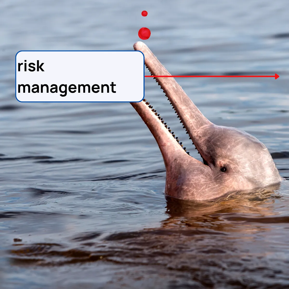 Slide 11