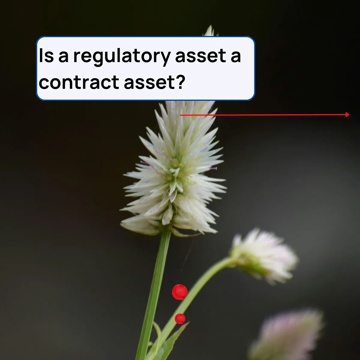 Slide 16