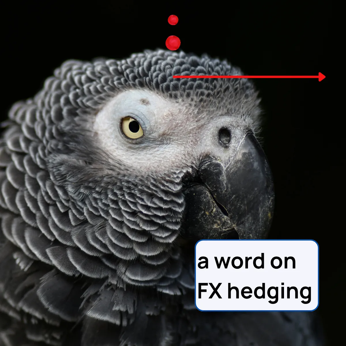 Slide 16