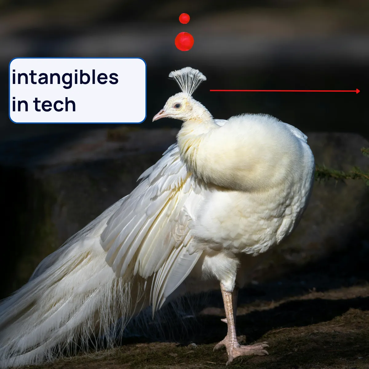 Slide 16
