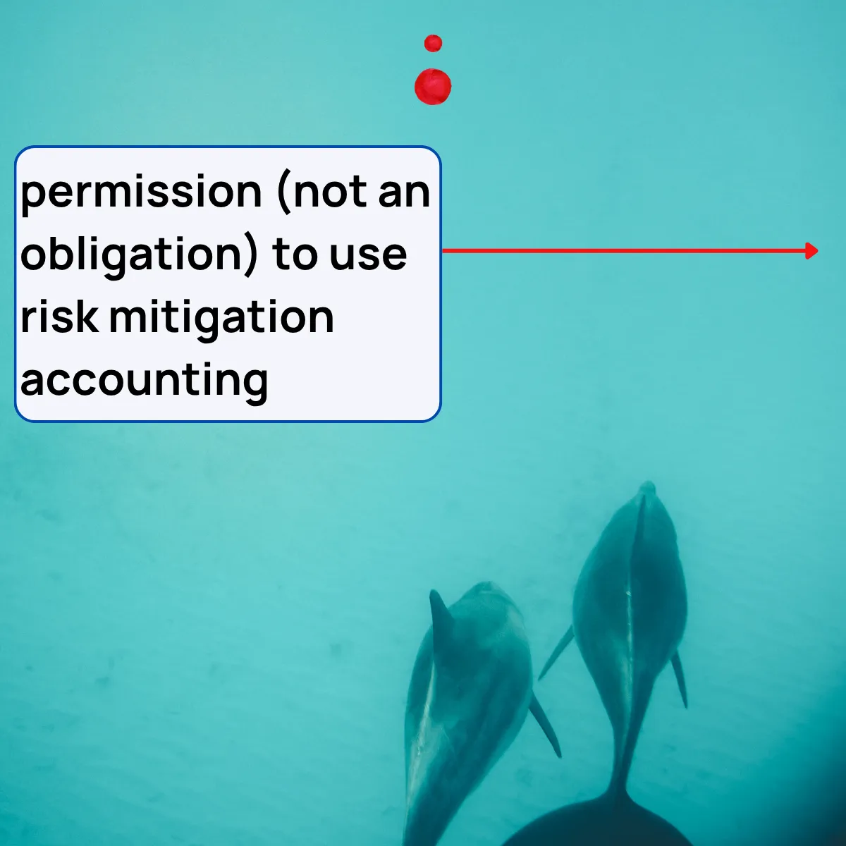 Slide 17