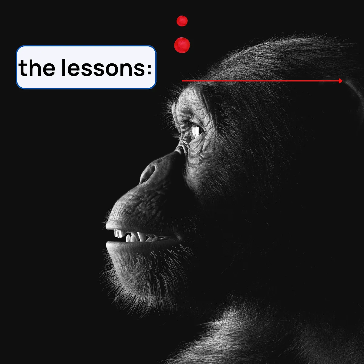 Slide 6