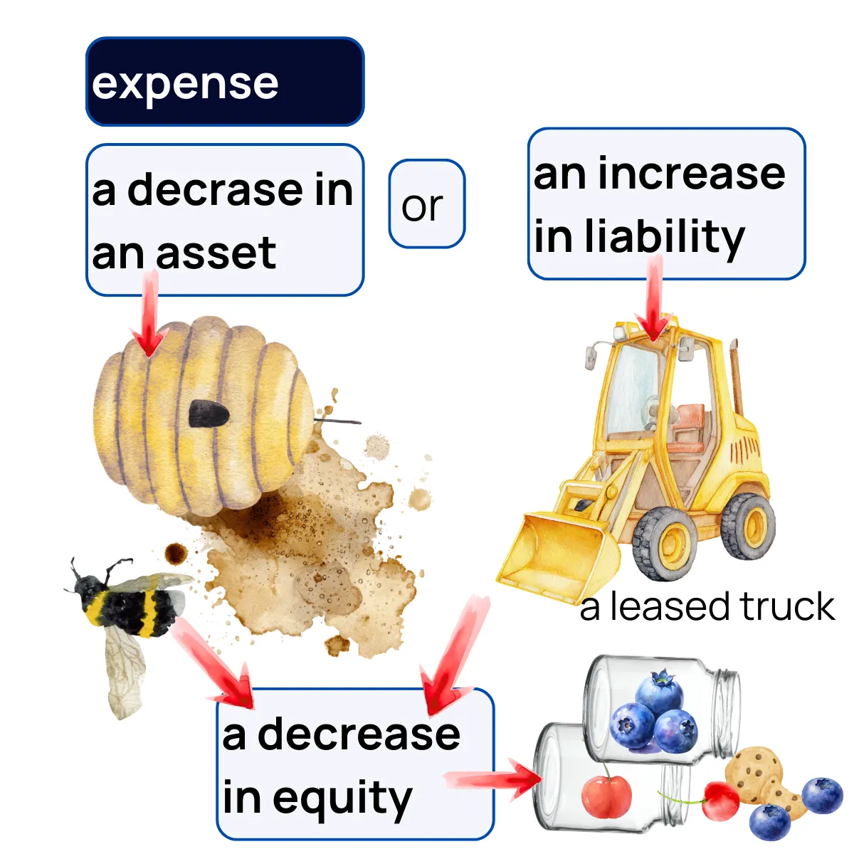 Slide 6