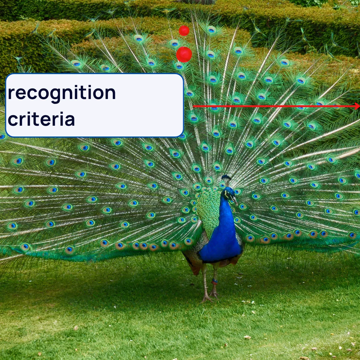 Slide 7