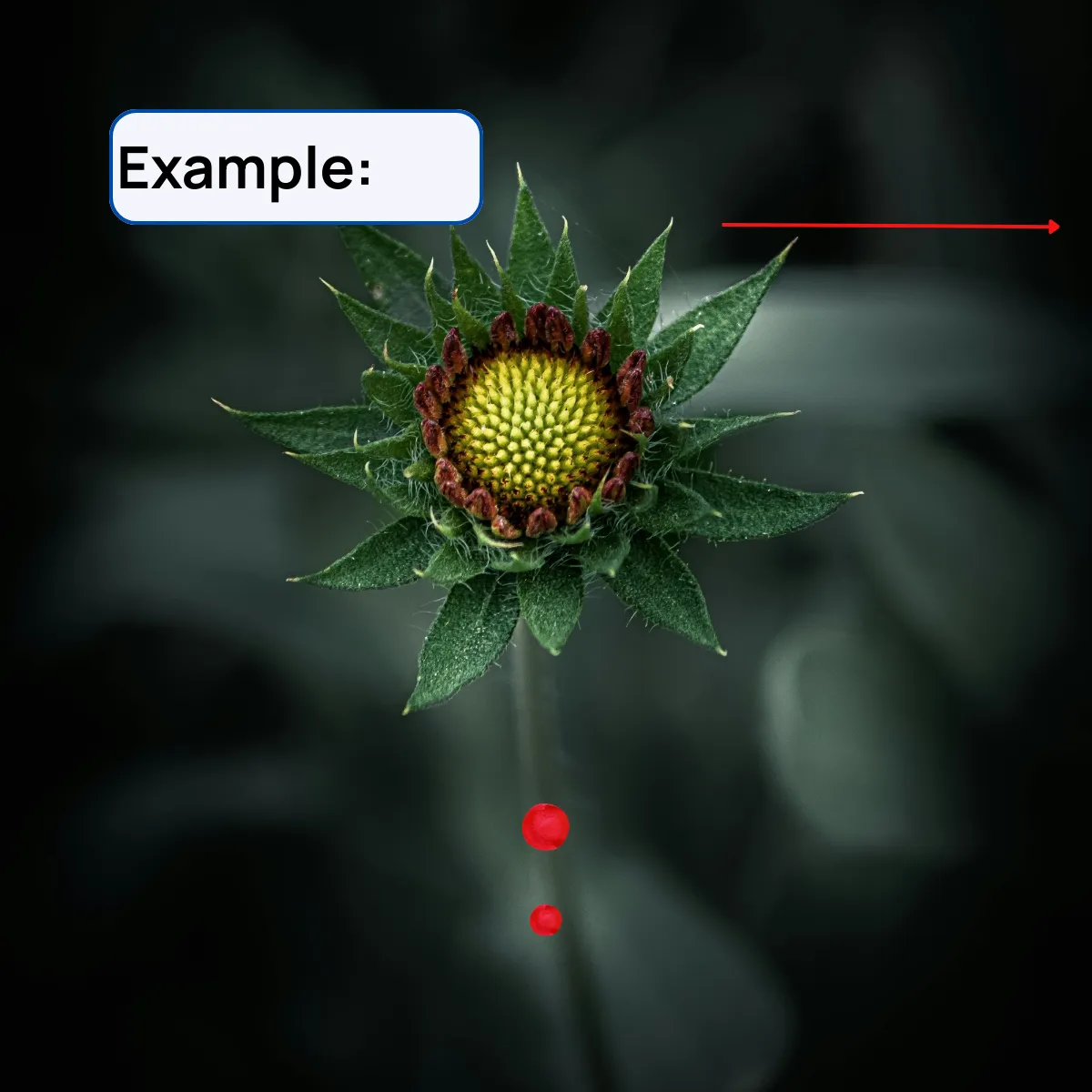 Slide 8