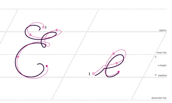 Sixth Edition of the Accounting Newsletter