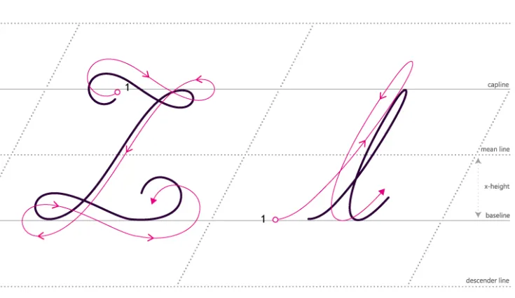 Fifth Edition of the Accounting Newsletter