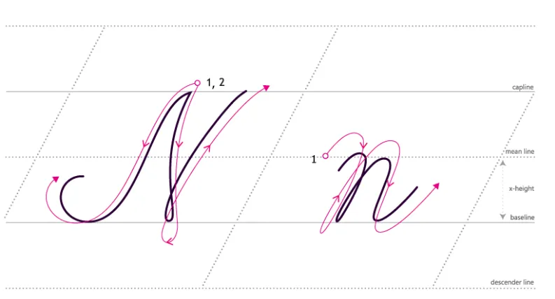 First Edition of the Accounting Newsletter