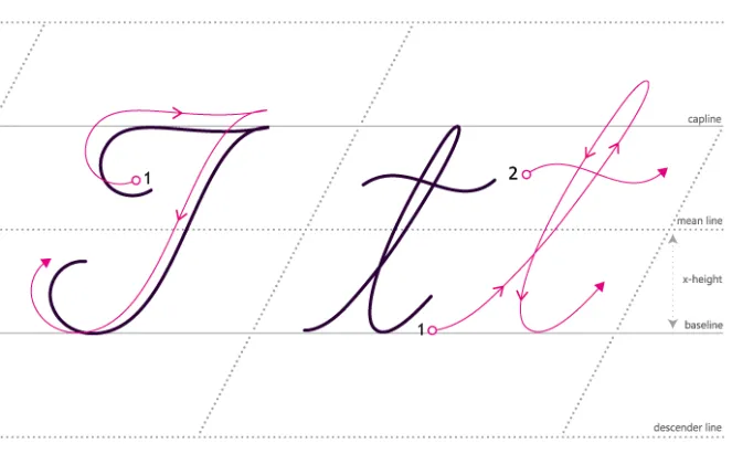 Seventh Edition of the Accounting Newsletter