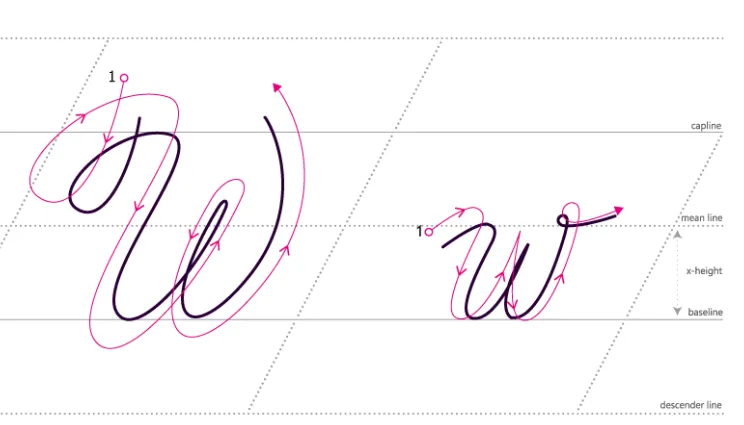 Third Edition of the Accounting Newsletter